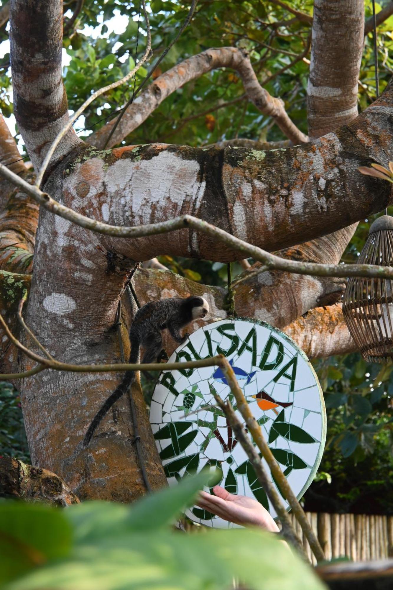 Pousada Habitat Caraiva Ngoại thất bức ảnh
