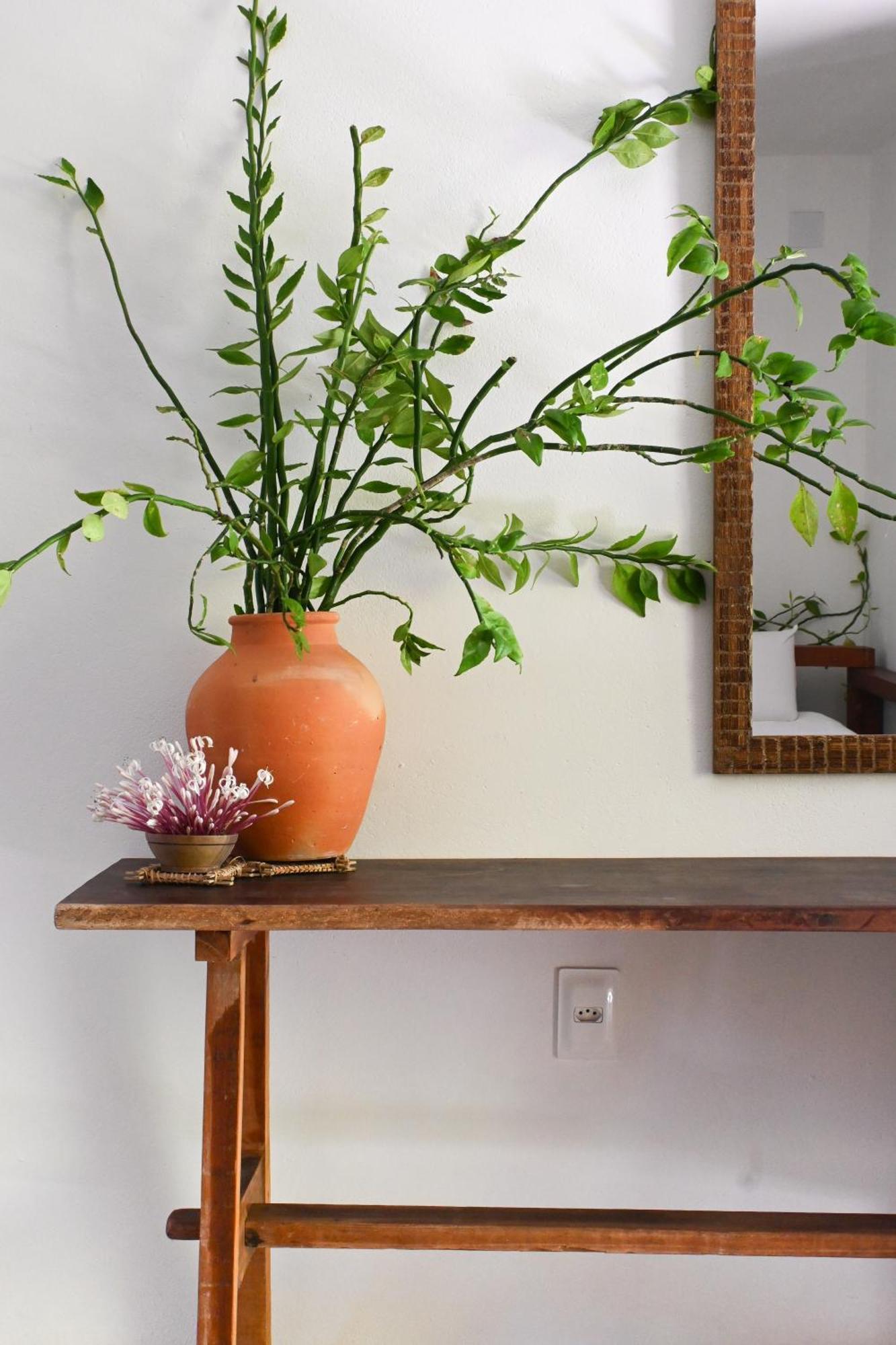 Pousada Habitat Caraiva Ngoại thất bức ảnh